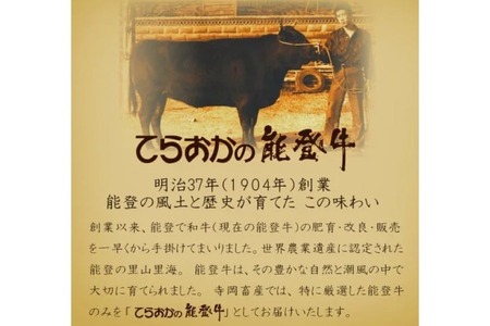 牛肉 能登牛 特選 (4～5等級) しゃぶしゃぶ用 450g 肩 もも肉