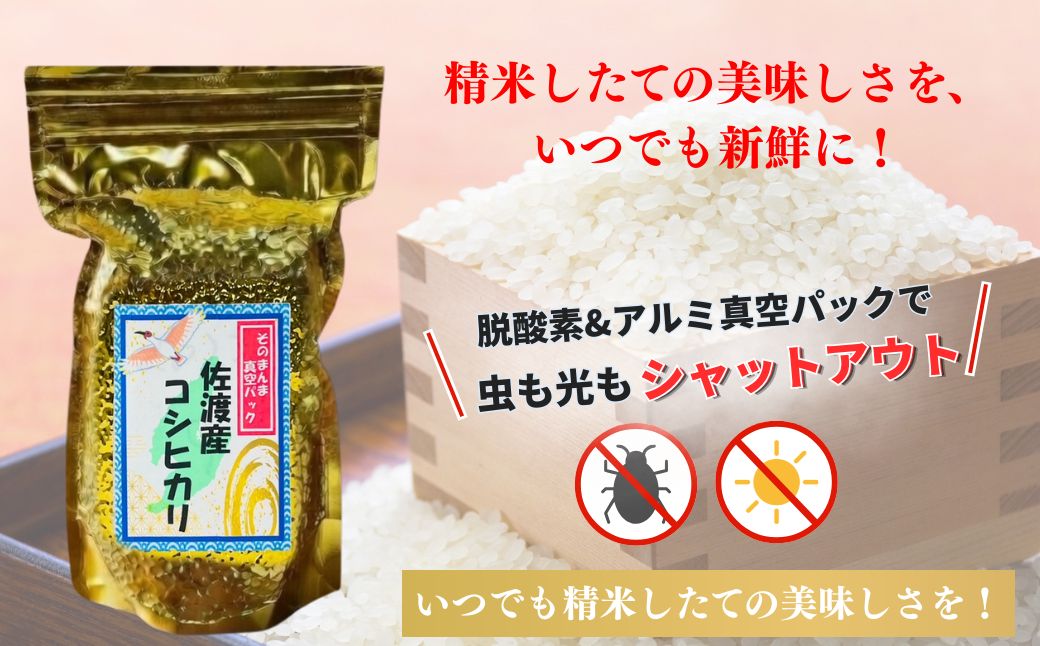 【令和7年度産米】佐渡産コシヒカリ そのまんま真空パック 900g×12袋セット