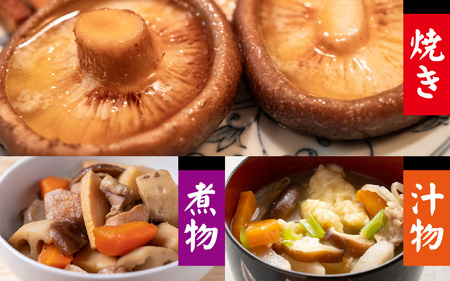 菌床肉厚しいたけ（福井県大野市産）500g[A-003018]