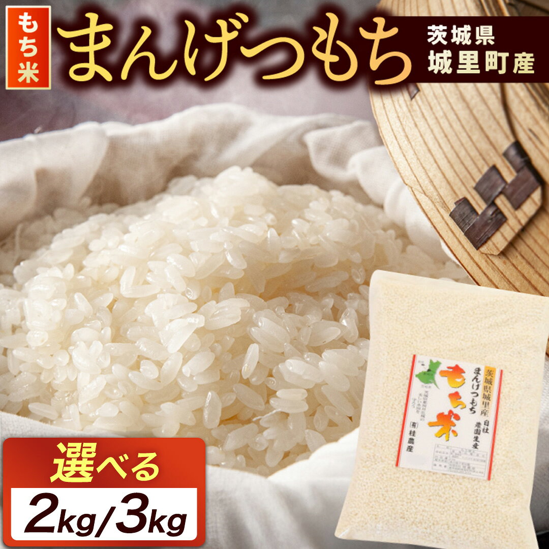 【ふるさと納税】【選べる 内容量】城里町産マンゲツモチ(精米) 2kg 3kg 令和7年産 お米 米 まんげつもち もち米 餅米 桂農産 国産 単一原料米 お餅 もち おもち 正月 餅つき お正月 お赤飯 赤飯 おこわ ちまき モチモチ もちもち 茨城県 城里町