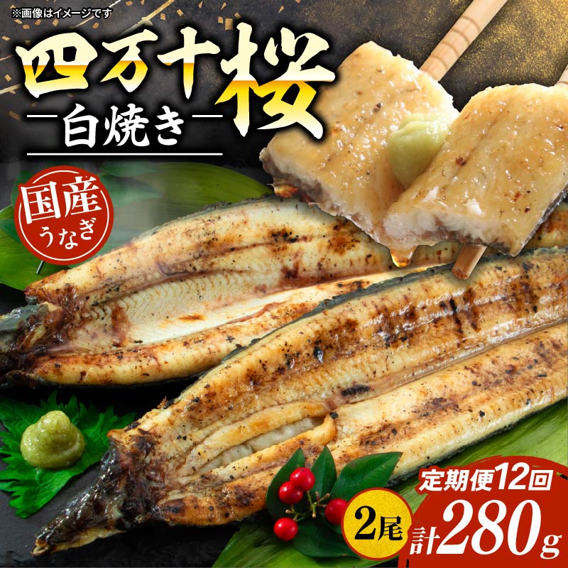 【ふるさと納税】 通常用 12回定期便 極上国産うなぎ四万十桜 白焼き約140g × 2尾 うなぎ 鰻 ウナギ 白焼き 定期便 国産 四万十鰻 ウナギ 蒲焼き 調理済み タレ付き 頒布会 ギフト お歳暮 お正月 高級 お取り寄せ グルメ 食べ比べ 冷凍