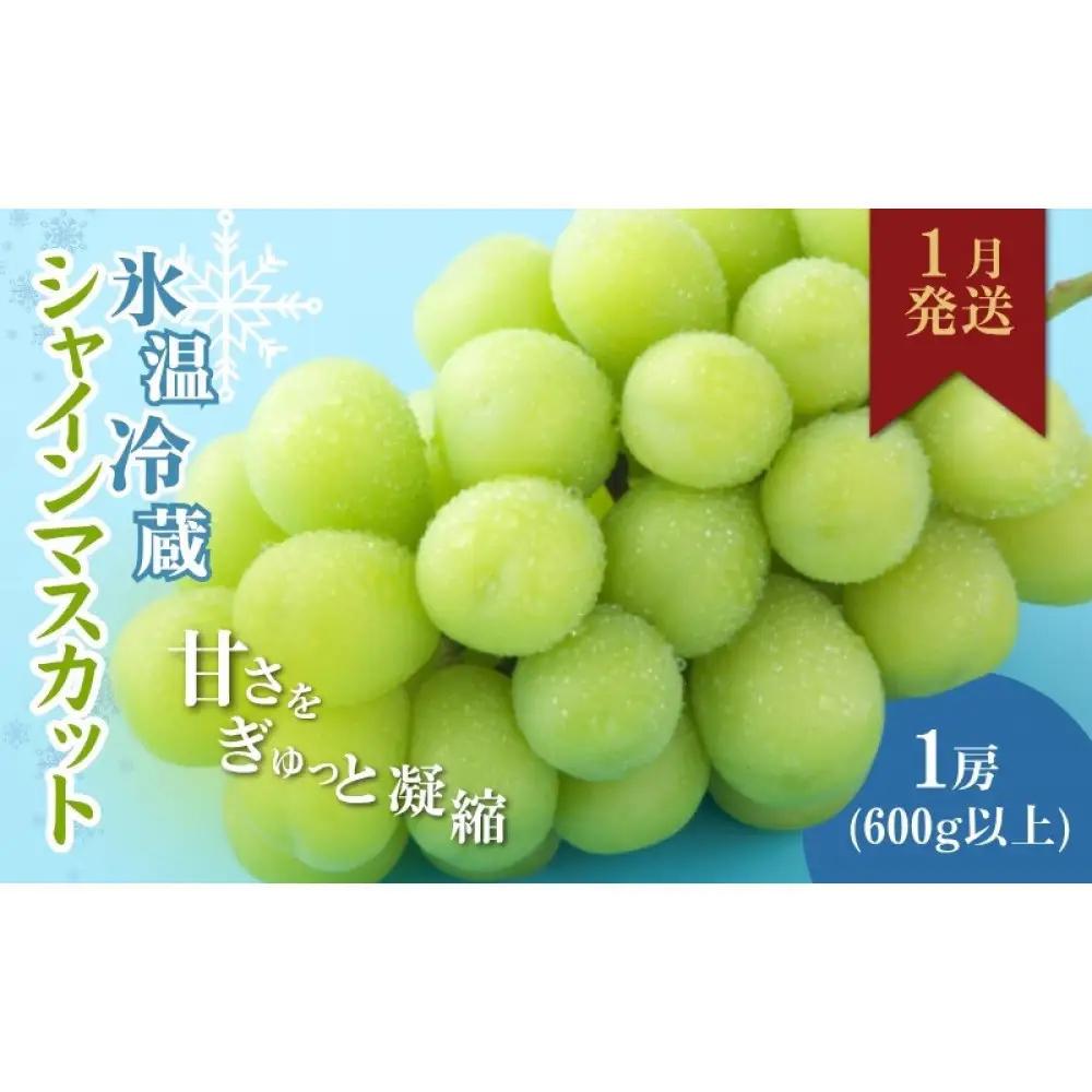 信州やなぎさわ農園果逢　信州産シャインマスカット（1月発送）　冷蔵1房(600g以上)大粒&大房 | 果物 ぶどう シャインマスカット 産地直送