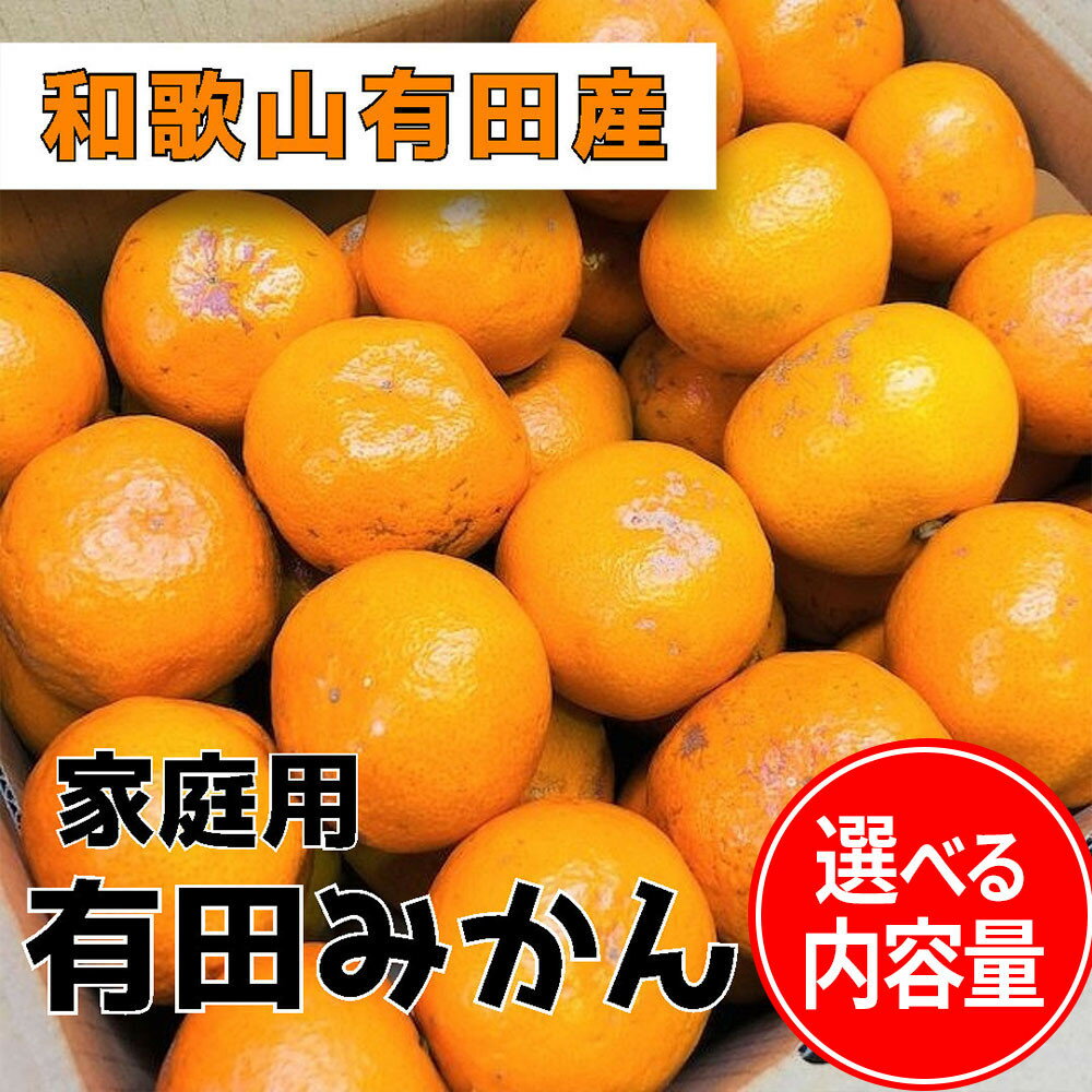 【ふるさと納税】【選べる内容量】 家庭用 有田みかん 1～10kg | みかん 蜜柑 フルーツ 果物 くだもの 食品 人気 おすすめ 送料無料