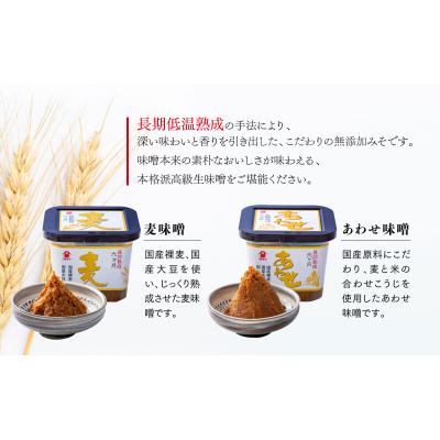 ふるさと納税 臼杵市 [フジジン]国産みそギフトセット(合わせみそ&麦みそ) |  | 01