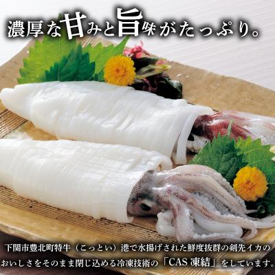 ふるさと納税 下関市 【限定100・寄附額変更中】 剣先イカ 約700~800g 下関 《蟹屋:KNY》KNY-KE01 |  | 01