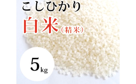 大山の一粒　白米 5kg