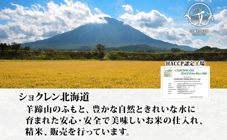 【2026年4月出荷】北海道 倶知安町産 ななつぼし 精米 5kg 米 特A 白米 お米 道産米 ブランド米 契約農家 ごはん 炊き立て ご飯 もちもち  国産 人気 お取り寄せ ギフト 贈り物 備蓄