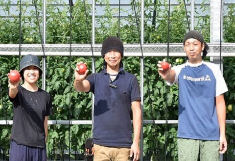 予約受付≪期間限定≫（2025年7月中旬頃から順次発送）産地直送！飛騨トマト 麗月大玉20玉（4kg） 下呂市 とまと トマト 新鮮【27-1】