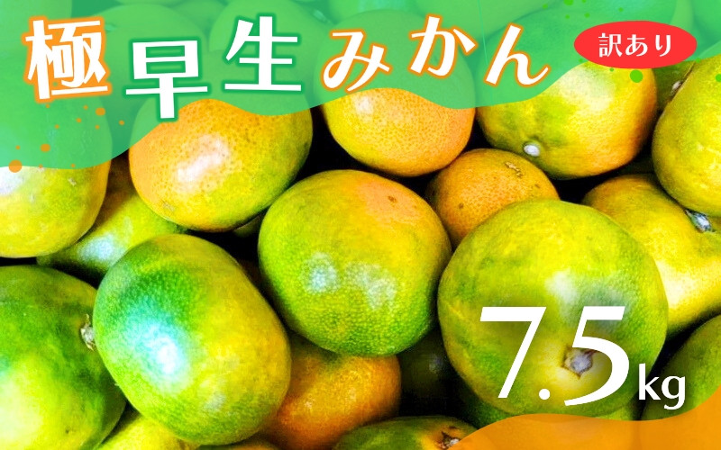 
                  【2026年秋頃発送予約分】【訳あり】こだわりの極早生みかん 約7.5kg ※2026年10月～11月に順次発送予定（お届け日指定不可） 有機質肥料100% サイズ混合  有田産【nuk166B】
                