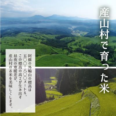 ふるさと納税 産山村 【令和7年産新米】阿蘇うぶやまのコシヒカリ10kg(5kg×2袋) |  | 02
