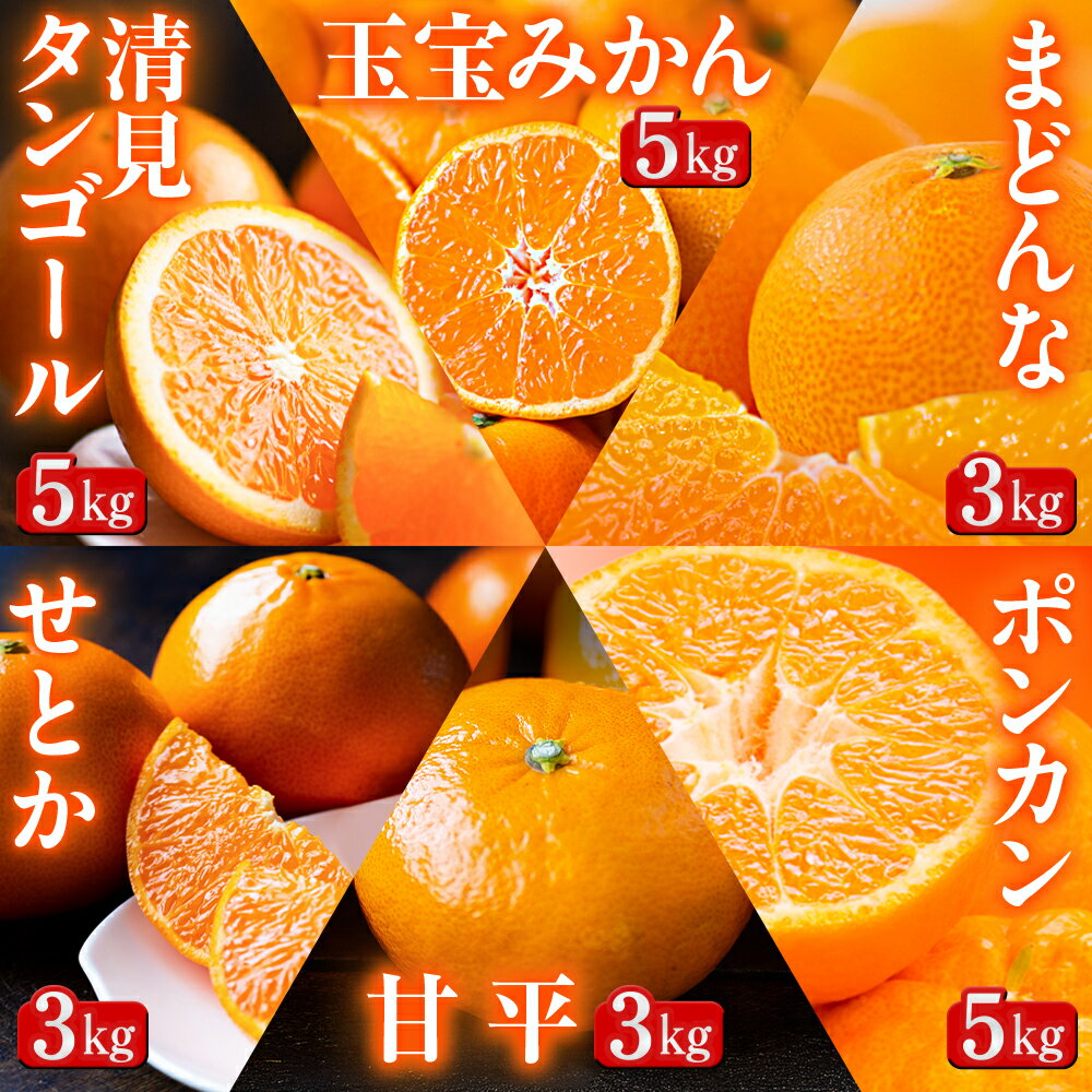 【ふるさと納税】【発送月固定定期便】「蜜時(みつどき)便り」みかんやまどんな、甘平、せとかなど【H64-93】全6回_【4069713】 YWTY082