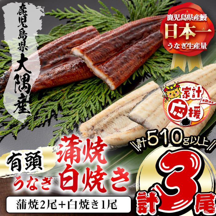 【ふるさと納税】【家計応援】＜きざみ鰻1袋付き！＞楠田の極うなぎ蒲焼2尾・白焼き1尾170g以上×3尾(計510g以上)箸で切れるほどふっくら柔らか！脂の「甘み」が特徴！鰻のかば焼きと白焼の食べ比べセット♪【楠田淡水】 b2-038