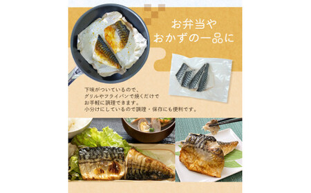 さば 骨なし 無添加 塩さば 切身 60g × 12枚 (4枚入り3セット)【nss507B】
