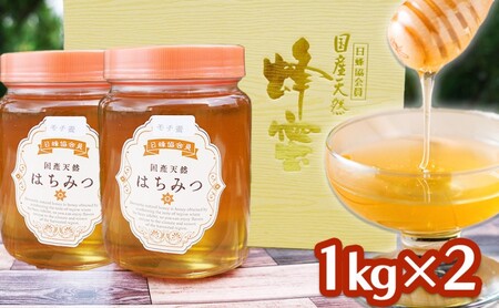 はちみつ 非加熱 純はちみつ もちの木 国産 はちみつ【2kg 1kg×2】