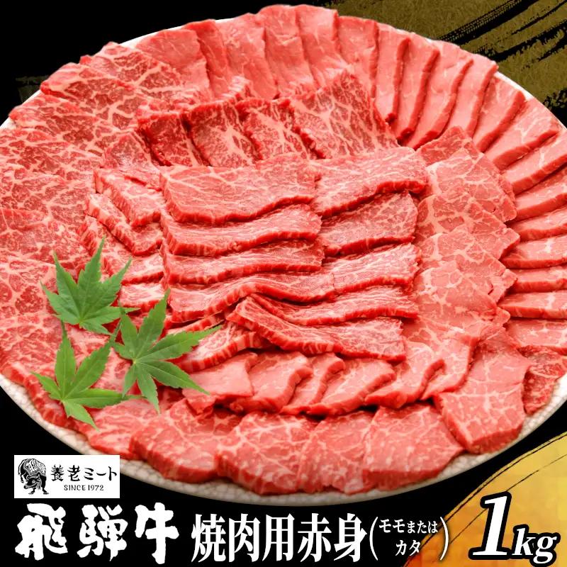 贅沢！ 飛騨牛 モモまたはカタ 焼肉用 1kg 4～6人前 牛肉 和牛 肉 焼肉 BBQ 霜降り カルビ 赤身 モモ カタ 東白川村 岐阜 養老ミート