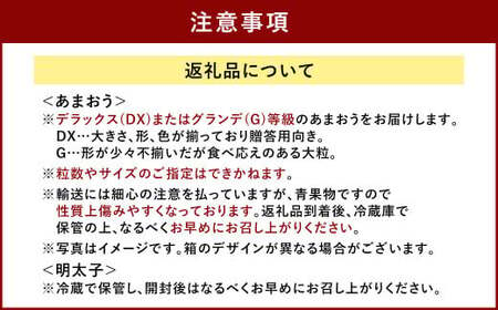 あまおう＆ふくや 味の明太子100g 苺 いちご イチゴ めんたいこ セット【2024年12月上旬～2025年3月下旬発送予定】