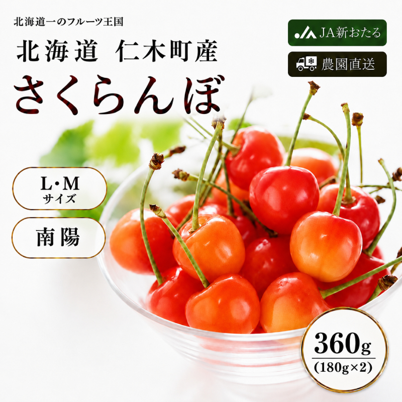 2027年発送 北海道 仁木町産 さくらんぼ 南陽 360g（180g×2パック）  サクランボ チェリー フルーツ 果物 果物類  仁木町 仁木 [JA新おたる]