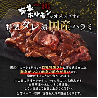 国産 特製たれ漬 牛ハラミサガリ 250g×5パック【配送不可地域：離島】