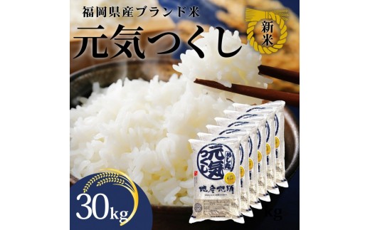 新米！！令和7年産 福岡県産米 元気つくし 合計30kg ( 5kg×6袋 )