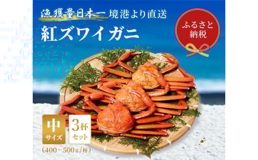 【先行予約 10月～11月発送】【蟹セレブ】ズワイガニ（紅ズワイガニ）中3杯セット（400～500g×3）