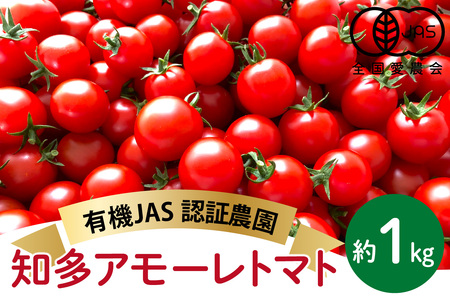 No.191 有機栽培ミニトマト　知多アモーレトマト　約1kg