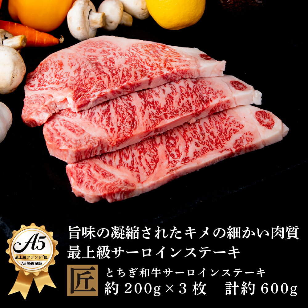 【ふるさと納税】とちぎ和牛 A5サーロイン 約200g×3枚 ｜ 国産 和牛 牛 肉 生産者 認定 銘柄 A5 旨味 うまみ きめ細かい サシ 霜降り とろける 品質 柔らかく 美味しい おいしい 芸術品 特産品 栃木県 真岡市 送料無料 栃木県共通返礼品