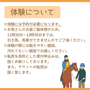 引馬体験 1回分 チケット 【馬っこパーク・いわて】／ ふれあい 引馬 引き馬 乗馬 体験 乗馬体験 馬 ホース ホースセラピー 動物 アニマル アニマルセラピー セラピー 癒し 体験チケット 観光 