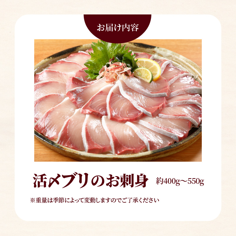 【日向灘どれ】延岡産活〆ブリのお刺身　400g〜550g　N019-ZA044　請関水産