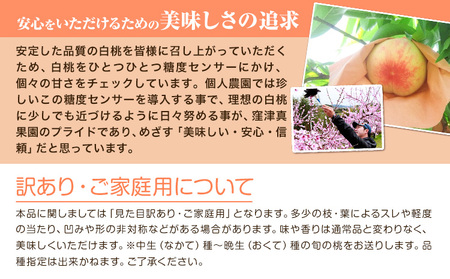 【2026年先行予約】ご家庭用 旬の桃 (なかて~おくての品種) 約2kg (5~8玉) 窪津真果園【配送不可地域あり】（北海道・沖縄・離島）《2026年7月中旬-9月中旬頃出荷(土日祝除く)》岡山県