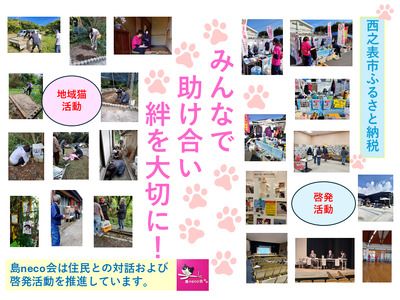 【返礼品なし】猫愛護活動支援 NFN640 【200PT】// 特定非営利活動法人　種子島 島neco会