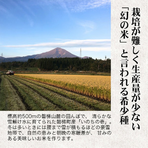 【令和6年産】幻の米 いのちの壱 特別栽培米　5kg【減農薬・減化学肥料】