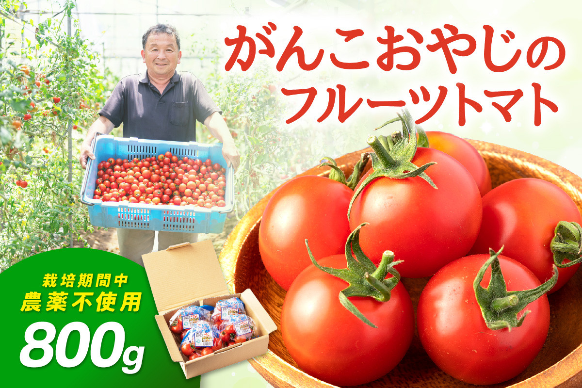 
            がんこおやじのフルーツトマト
          