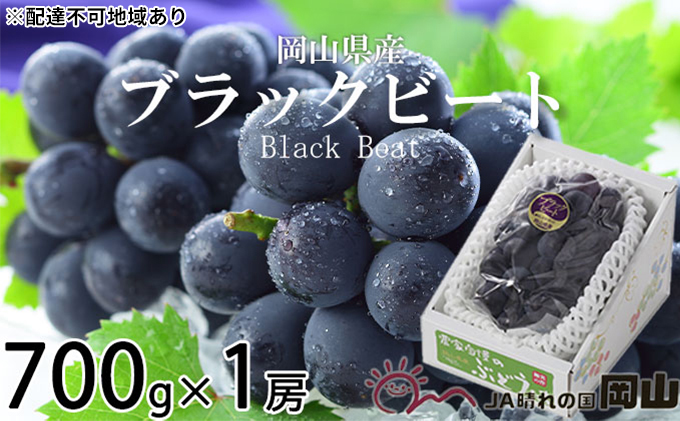 ぶどう 2026年 先行予約 ブラックビート 約700g×1房 ブドウ 葡萄  岡山県産 国産 フルーツ 果物 ギフト 岡山のぶどう 岡山の果物 デザート 食後 種無し 大粒 甘味 酸味 バランス 