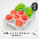 【ふるさと納税】先行予約 白桃 シャインマスカット 秀品 詰め合わせ 品種おまかせ 3kg 2025年産 令和7年産 山形県産 もも 桃 ぶどう ブドウ 葡萄 シャイン マスカット 果物 フルーツ デザート 詰合せ セット アソート 送料無料 山形 ns-fshsx3※沖縄・離島への配送不可