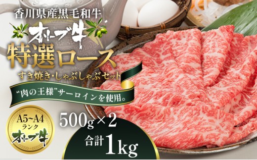 
                  オリーブ牛 特選ロース すき焼き肉 しゃぶしゃぶ肉 1kg 500g × 2パック 黒毛和牛 香川県産 牛肉 サーロイン ロース ロース肉 霜降り 脂身 冷凍 食べ比べ セット すき焼き しゃぶしゃぶ 鍋 牛鍋 お肉 和牛 国産牛 ブランド牛 香川県 観音寺市
                