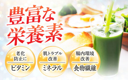 遠藤青汁 【生】 冷凍 1箱 (100g×28袋) / 青汁 遠藤青汁 冷凍青汁 青汁 遠藤青汁 冷凍青汁 [ATAC001]