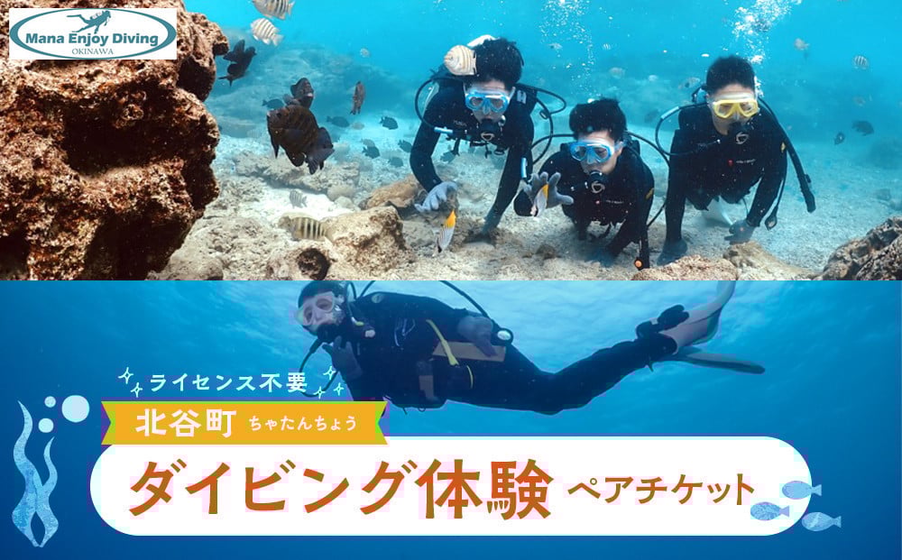 
ライセンス不要のダイビング体験ペアチケット
