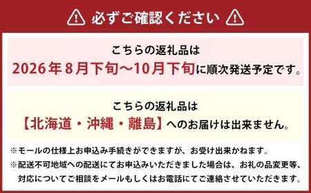 先行予約岡山県産ニューピオーネ 約500g×2房 計約1kg【2026年8月下旬～10月下旬まで順次発送予定】 葡萄 ぶどう ブドウ フルーツ 果物 冷蔵
