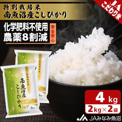 ふるさと納税 南魚沼市 【令和8年産＼新米/】匠がつくる「特別栽培米南魚沼産こしひかり8割減」精米4kg(2kg×2袋)