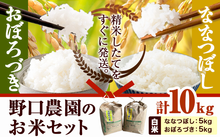 【1-3-48】【令和6年産先行予約】野口農園お米セット10kg「ななつぼし・おぼろづき」