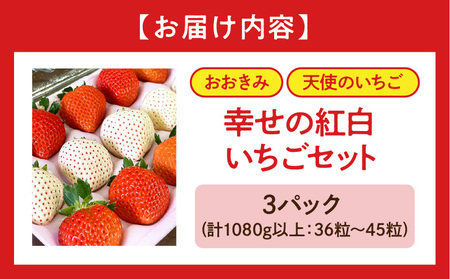 《2025年発送先行予約》【数量・期間限定】宮崎県産 幸せの紅白いちごセット（おおきみ&天使のいちご）3パック いちご 果物 フルーツ