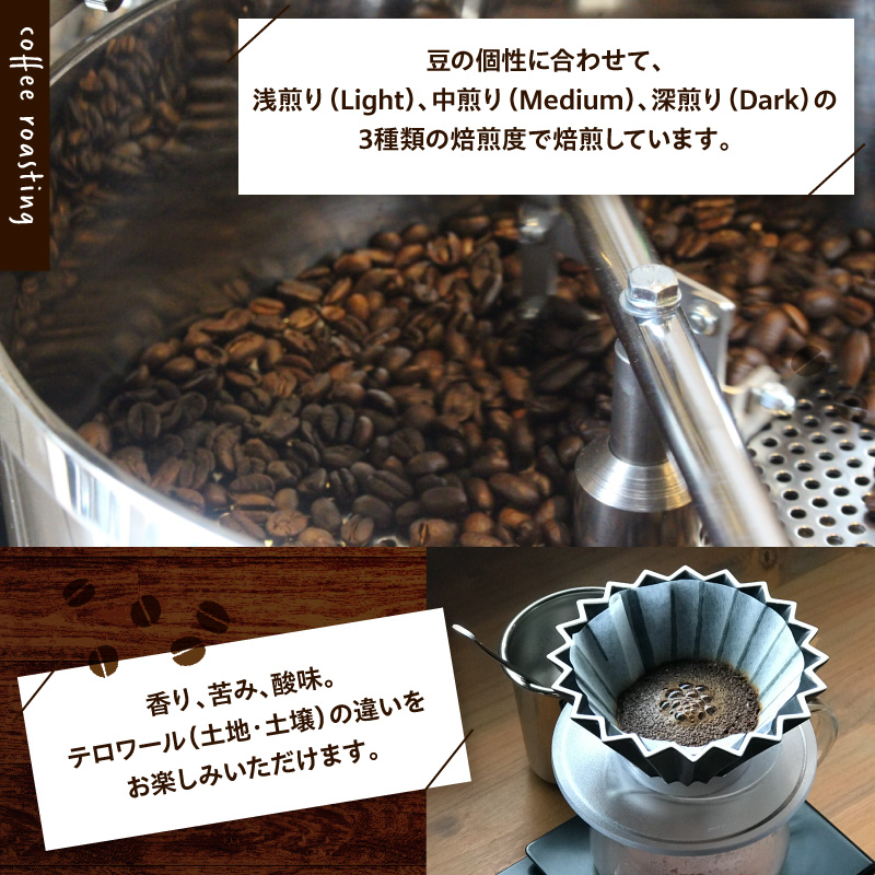 【粉】787 Nanohana Coffee Roaster 3種お任せセット 各50g