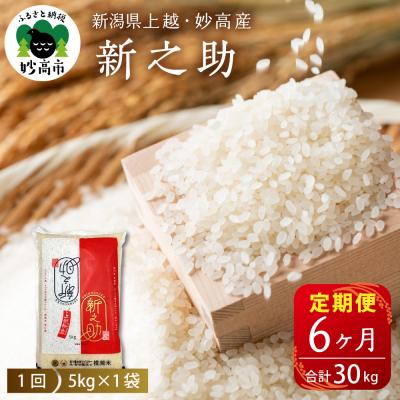 ふるさと納税 妙高市 2026年1月上旬より発送 【定期便】新潟県上越・妙高産新之助 5kg(計30kg) 全6回