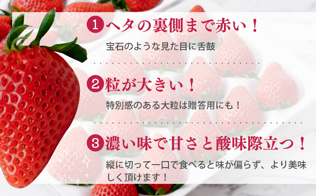 大粒完熟　群馬県産いちご「やよいひめ」400g×2 計800g｜コク 甘み 朝採れ やよいひめ 大粒 甘み 酸味 バランス 贈答用 新鮮 完熟 いちご 旬 苺 ストロベリー 産地直送 果汁 甘い あま
