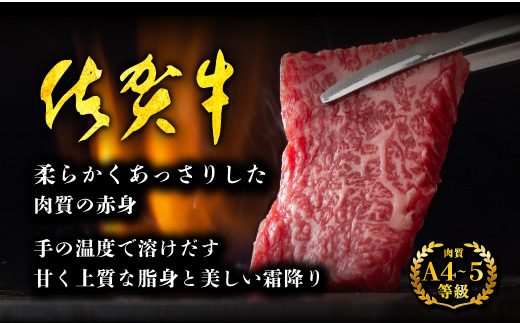 E-29 佐賀牛 ロース焼肉用500ｇ