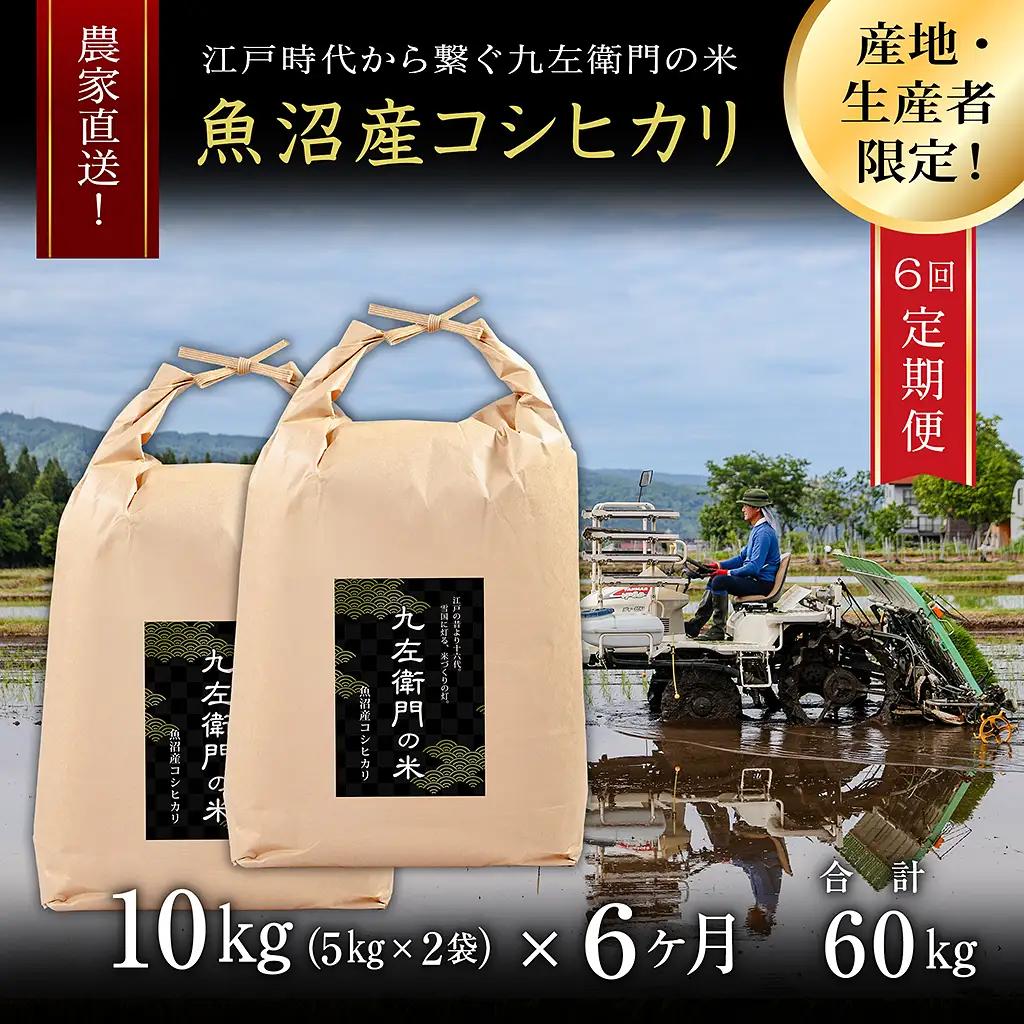【令和8年産 先行予約】【6ヶ月定期便】魚沼産コシヒカリ 九左衛門の米 10kg（5kg×2袋） |津南町 魚沼産 コシヒカリ