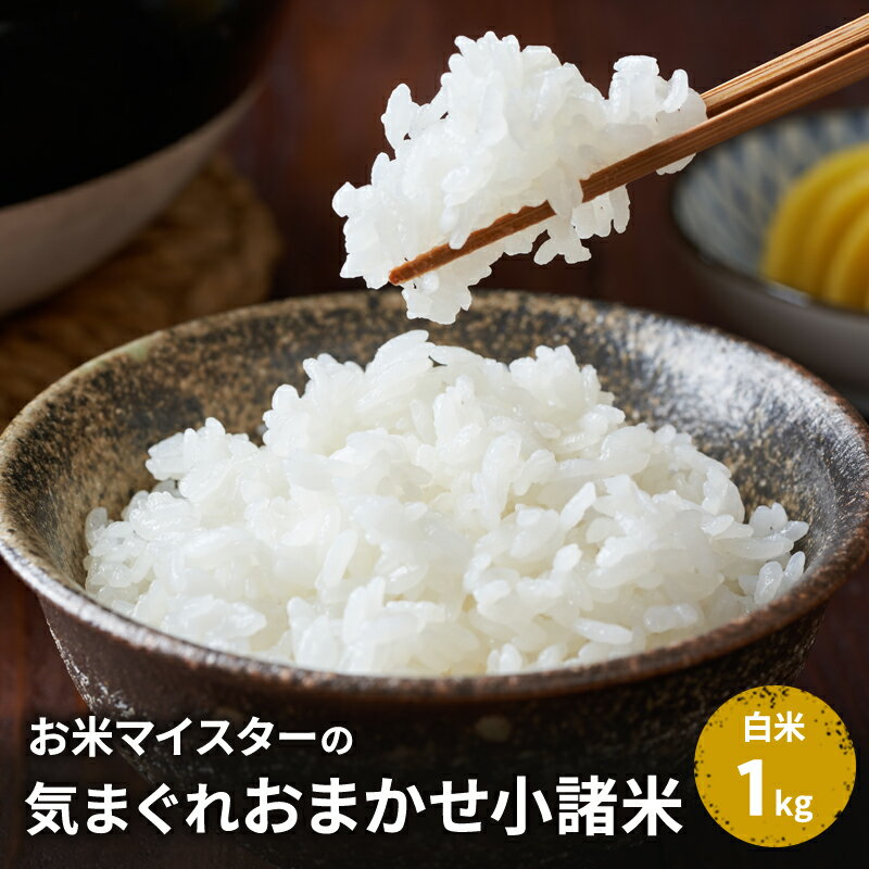 【ふるさと納税】【古久庄 村松商店】お⽶マイスターの気まぐれお任せ⼩諸⽶（1kg）信州 長野 ごはん ご飯 コメ コシヒカリ あきたこまち つきあかり 風さやか ひとめぼれ ゆうだい21 ブレンド米
