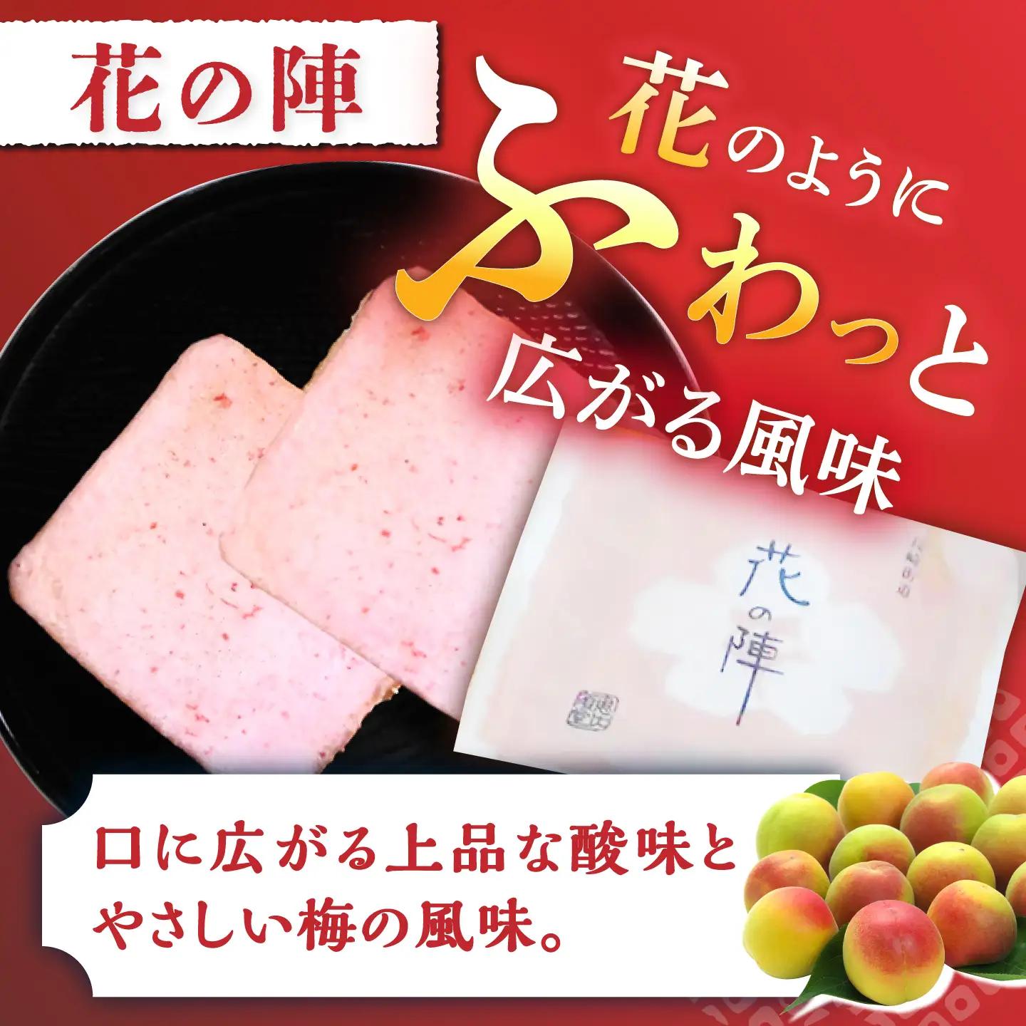 【6回定期便】夢本陣 24枚（12枚×2種） /恵比須堂 [UBQ015] 煎餅 せんべい