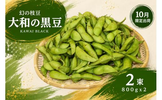【2026年10月下旬出荷限定】幻の枝豆 大和の黒豆 KAWAI BLACK 1.6kg(800g×2束) 数量限定 枝豆 枝付き 奈良県 奈良 返礼品 えだまめ エダマメ 冷蔵 お取り寄せグルメ ご当地グルメ 豆 特産品 名産品 おつまみ 食品 河合町
