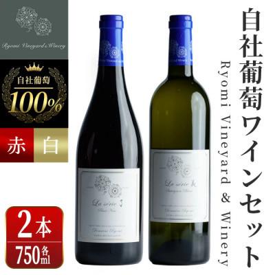 ふるさと納税 大和町 自社葡萄を使用したワイン2本セット ピノノワール・ソーヴィニヨンブラン 750ml×各1本